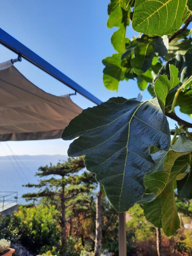 Appartamento Nautica Sveti Juraj Esterno foto